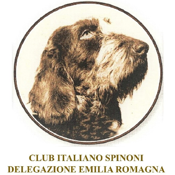 Manifestazione - Club Italiano Spinoni